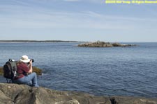 Charlotte photographing seals