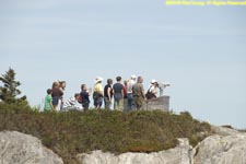 lining up to view seals