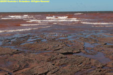 red rock and waves
