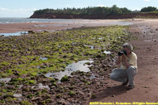 Paul photographing at the high tide line