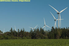 wind farm