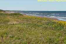 dunes and sea