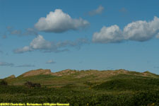 sand dunes