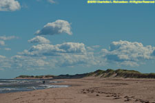 dunes and beach