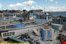 mussel boats