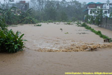 flooded street