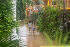 wading in the street