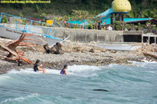 debris on beach