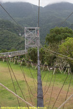 canopy walk