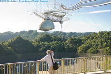 Paul looking at the dish