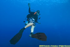 divemaster