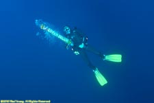 diver with marker buoy