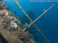 wide angle view of wreck