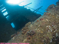 wide angle view of wreck