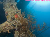 wide angle view of wreck