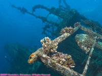 wide angle view of wreck