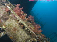 wide angle view of wreck