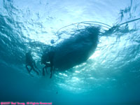 divers boarding zodiac