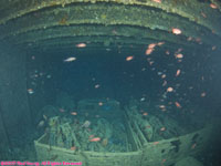 cargo hold with motorcycles