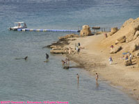 divers at beach