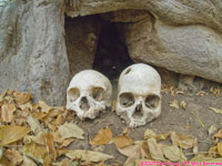 griot burial skulls