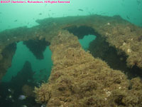 wreckage