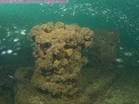 wreckage