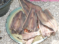 dried fish