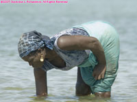 woman clamming