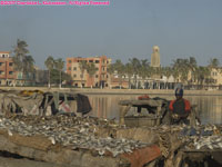 fish drying