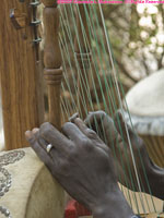 fingering the kora