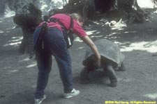 Charlotte with tortoise