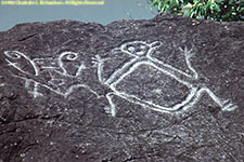 petroglyphs