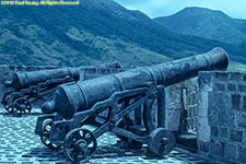 canons