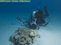 Paul checking out cleaning shrimp on debris