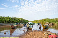 canoes