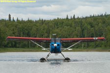 Piper Pacer taxiing