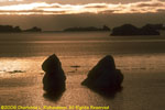 icebergs at sunset