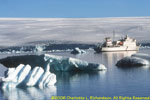 ship at anchor off Paulet Island