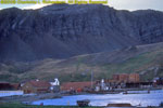 Grytviken