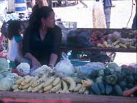 Vegetable stand