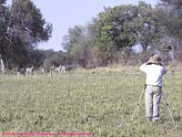 Paul photographing zebras