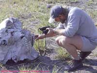 Peter and elephant skull