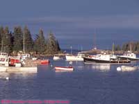 fishing harbor