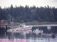 lobster boats