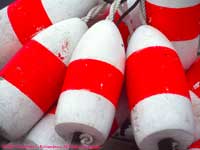 lobster buoys