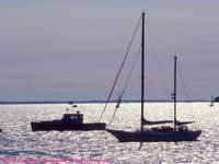 boats at anchor