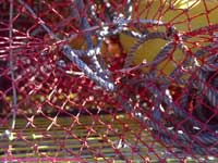 lobster pot detail