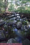 rocks in a stream