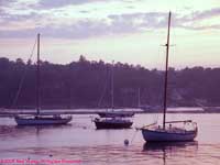 boats in the harbor